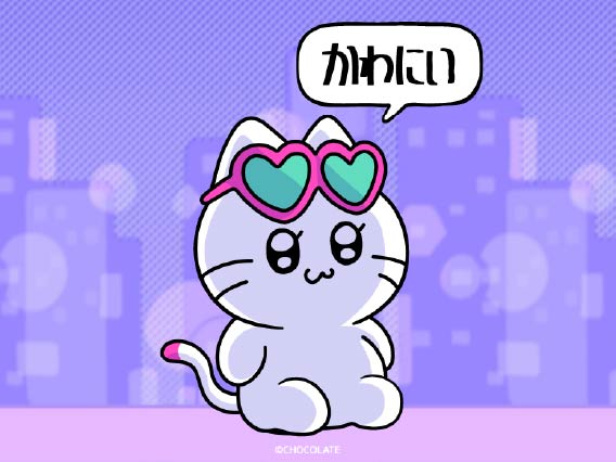 ギャルネコ