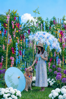 花の移動式観光案内所